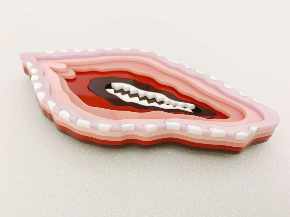 dentata brooch by plexi shock